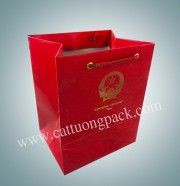 CTPACK bán lẻ túi giấy đựng quà cho sự kiện