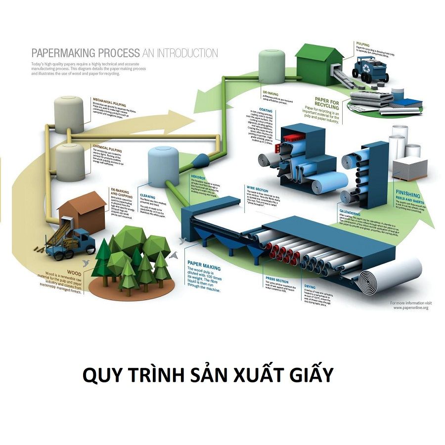 QUY TRÌNH SẢN XUẤT GIẤY