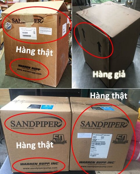 Mua bơm màng Sandpiper chính hãng ở đâu?