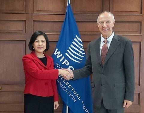 WIPO hỗ trợ Việt Nam thiết lập hệ thống pháp luật về sở hữu trí tuệ