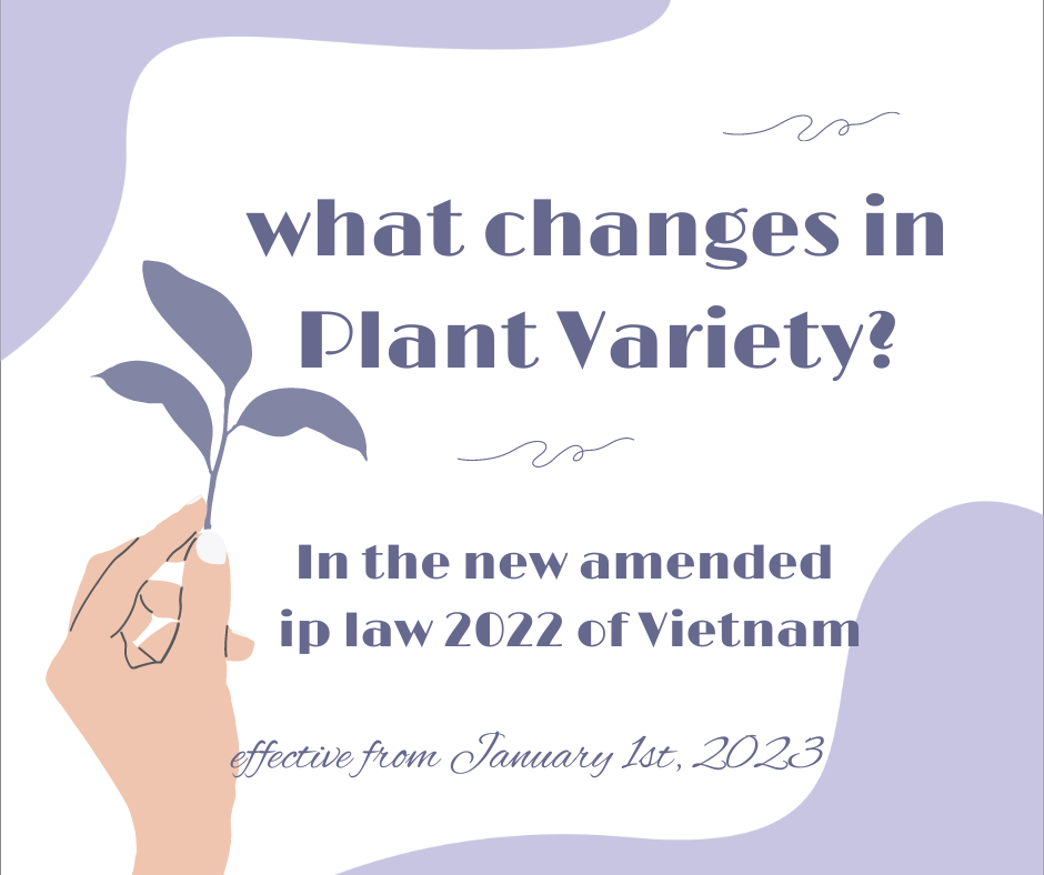KEY CONTENTS OF AMENDED IP LAW 2022  - SECTION 4 - PLANT VARIETIES