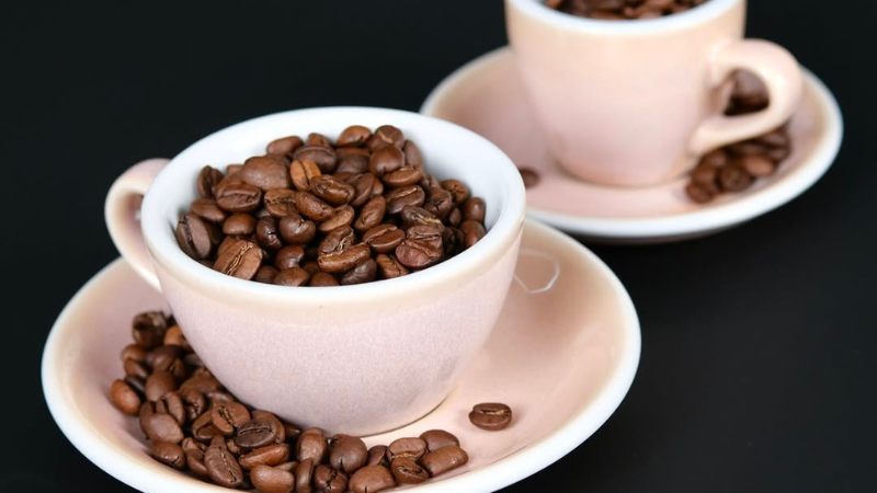 Ly Sứ, Cốc Sứ Cao Cấp Chính Hãng