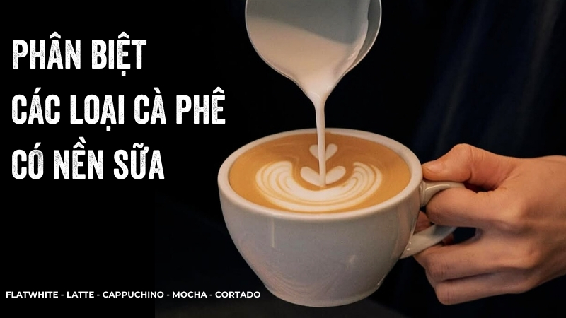 Bạn Có Phân Biệt Được Các Loại Cà Phê Có Nền Sữa?