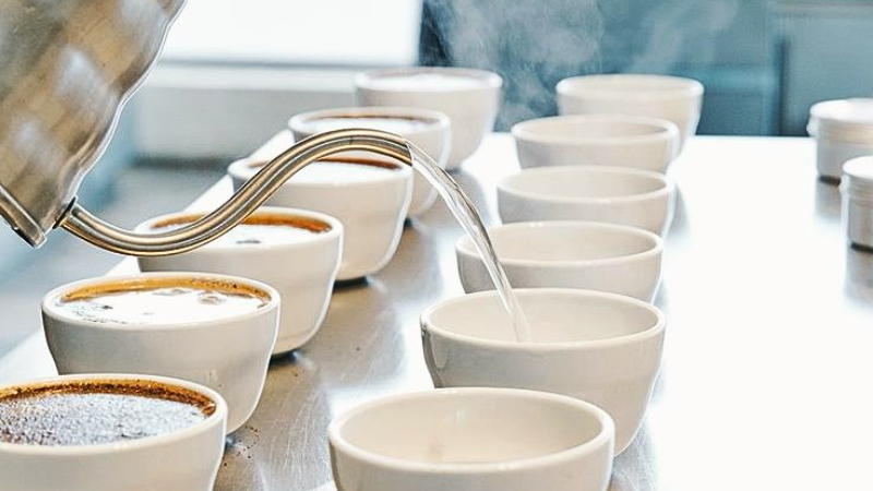 cupping cà phê