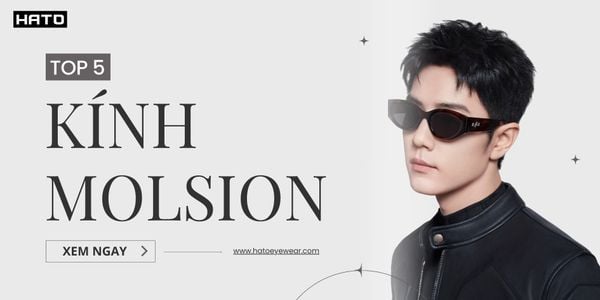 Top 5 Mẫu Kính Molsion Bạn Nên Sở Hữu
