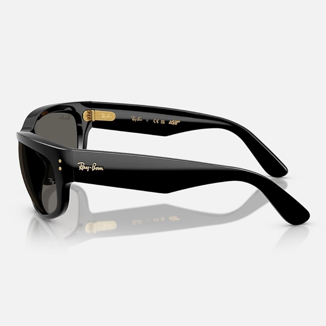 RayBan 0RB2289