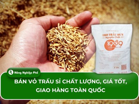 Bán vỏ trấu sỉ chất lượng, giá tốt, giao hàng toàn quốc