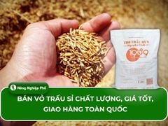 Bán vỏ trấu sỉ chất lượng, giá tốt, giao hàng toàn quốc