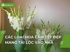 Các loại hoa cắm Tết đẹp mang tài lộc vào nhà