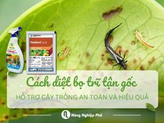 Cách diệt bọ trĩ tận gốc cho cây trồng an toàn và hiệu quả