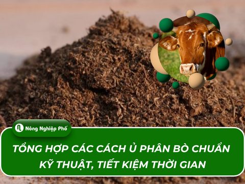 Tổng hợp các cách ủ phân bò chuẩn kỹ thuật, tiết kiệm thời gian