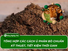 Tổng hợp các cách ủ phân bò chuẩn kỹ thuật, tiết kiệm thời gian