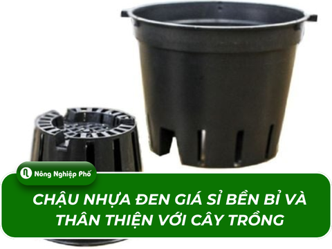 Mua chậu nhựa đen giá sỉ, hàng chất lượng, bền đẹp