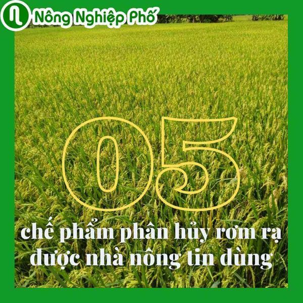 nongnghieppho.vn