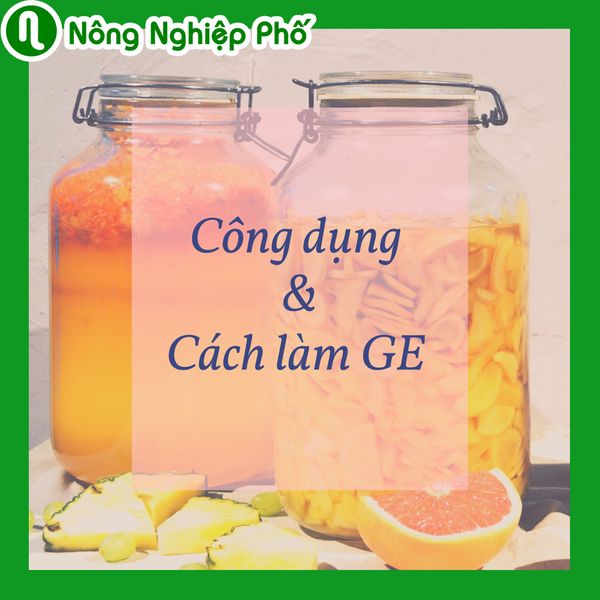 GE có tác dụng gì trong nông nghiệp? 
