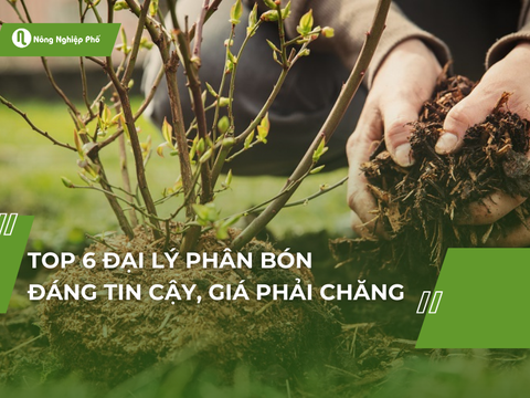 Top 6 đại lý phân bón đáng tin cậy, giá phải chăng