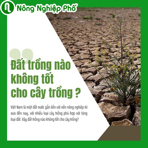 Đất trồng nào không tốt cho cây trồng | Nông Nghiệp Phố