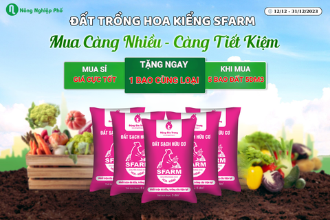 Đất trồng hoa kiểng SFARM 5dm3 - MUA 5 TẶNG 1, túi nhỏ gọn nhẹ, siêu tiện lợi