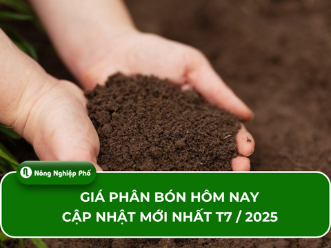 Giá phân bón hôm nay - Cập nhật mới nhất ngày 08/08/2025