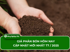 Giá phân bón hôm nay - Cập nhật mới nhất ngày 08/08/2025