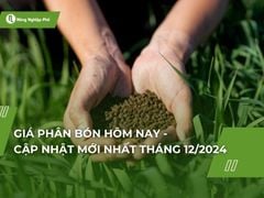 Giá phân bón hôm nay - Cập nhật mới nhất ngày 4/12/2024