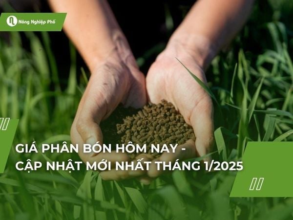 Giá phân bón hôm nay - Cập nhật mới nhất ngày 21/2/2025