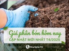 Giá phân bón hôm nay - Cập nhật mới nhất ngày 28/4/2025