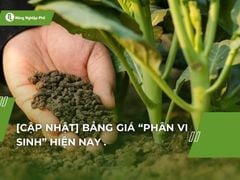 [Cập nhật] Bảng giá phân vi sinh tháng 12/ 2024