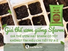 Giá thể ươm giống, ươm hạt Sfarm có tốt không? Tìm hiểu chi tiết từ A-Z
