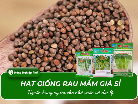 Hạt giống rau mầm giá sỉ: Nguồn hàng uy tín cho nhà vườn và đại lý