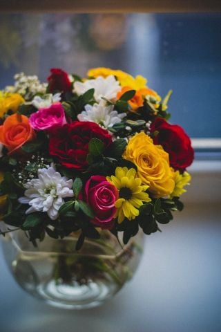 Top 10 loại hoa hồng đẹp và ý nghĩa - Bộ sưu tập hoa hồng độc đáo và phong cách|Nông nghiệp phố
