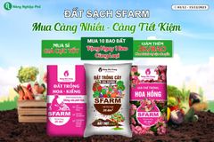 ĐẤT SẠCH SFARM: MUA 10 TẶNG 1