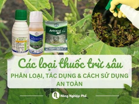 Các loại thuốc trừ sâu: Phân loại, tác dụng & cách sử dụng an toàn