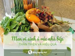 Men vi sinh ủ rác nhà bếp. Giải pháp thân thiện và hiệu quả cho mọi gia đình