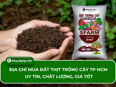 [Gợi ý] 6+ địa chỉ mua đất thịt trồng cây TP HCM uy tín, chất lượng, giá tốt