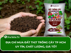 [Gợi ý] 6+ địa chỉ mua đất thịt trồng cây TP HCM uy tín, chất lượng, giá tốt