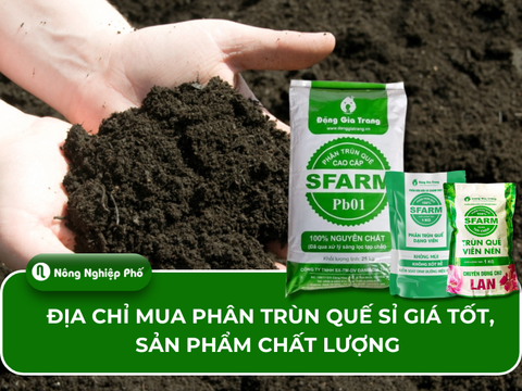 Địa chỉ mua phân trùn quế sỉ giá tốt, sản phẩm chất lượng