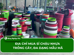 Địa chỉ mua sỉ chậu nhựa trồng cây uy tín, giá cả hợp lý