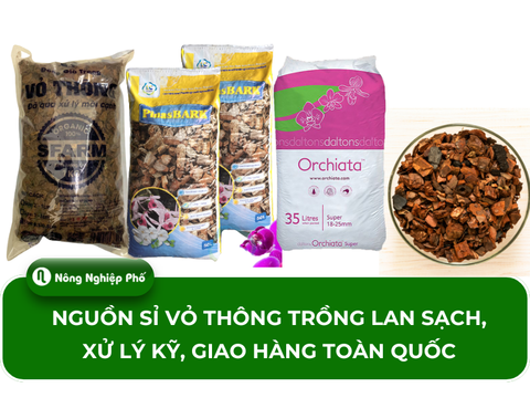 Nguồn sỉ vỏ thông trồng lan sạch, xử lý kỹ, giao hàng toàn quốc