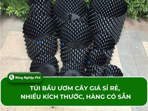 Túi bầu ươm cây giá sỉ rẻ, nhiều kích thước, hàng có sẵn