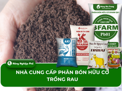 Nhà cung cấp phân bón hữu cơ trồng rau chất lượng cao