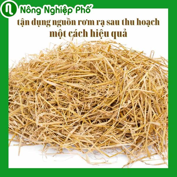 Khám phá đụn rơm là gì và cách sử dụng trong nông nghiệp hiện đại