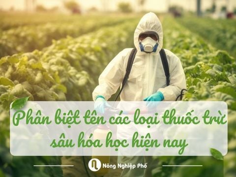 Phân biệt tên các loại thuốc trừ sâu hóa học hiện nay