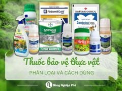 Thuốc bảo vệ thực vật gồm những loại nào? Phân loại & Cách chọn dùng hiệu quả