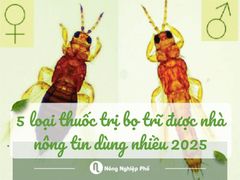 5 loại thuốc trị bọ trĩ được nhà nông tin dùng nhiều nhất 2025