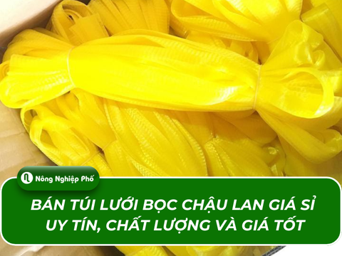 Bán túi lưới bọc chậu lan giá sỉ uy tín, chất lượng và giá tốt