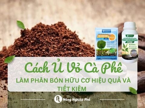 Cách ủ vỏ cà phê làm phân bón hữu cơ hiệu quả và tiết kiệm