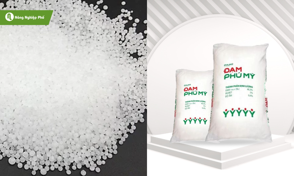 Phân đạm Urea Phú Mỹ - Cung cấp đạm, tăng sinh trưởng thân, lá