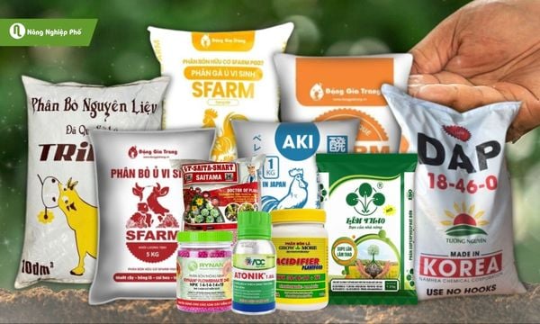 Các loại phân bón cho cây có tại Nông Nghiệp Phố