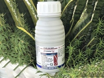amistar-top-325sc-100ml